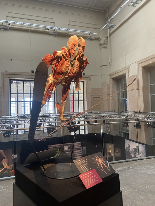 Grandi Stazioni Retail, al via la mostra “Body Worlds”