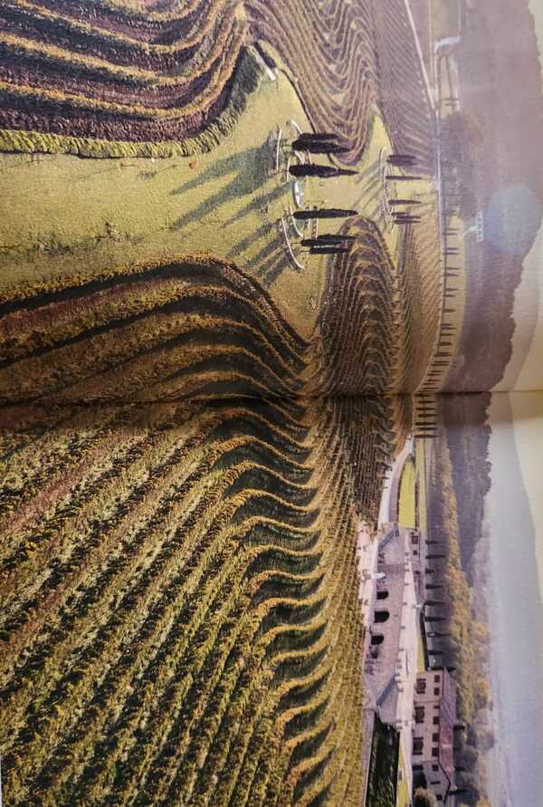 Brunello Cucinelli lancia il suo vino: al “battesimo” del rosso anche Affari Brunello Cucinelli lancia il suo vino: al “battesimo” del rosso anche Affari