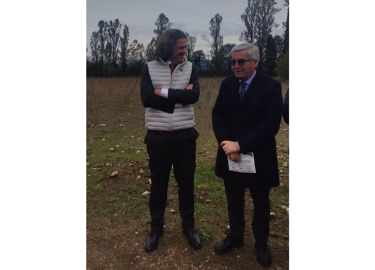 Genertel supporta la realizzazione del bosco urbano di Udine Genertel supporta la realizzazione del bosco urbano di Udine