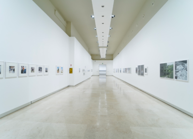 Terna, annunciati i vincitori del Premio Driving Energy 2022