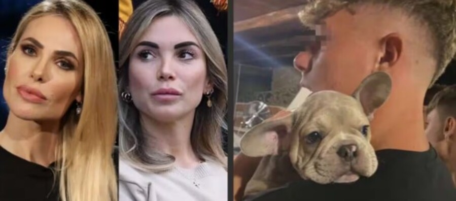 Scomparso il cagnolino di Christian Totti. Che fine ha fatto? Scomparso il cagnolino di Christian Totti. Che fine ha fatto?