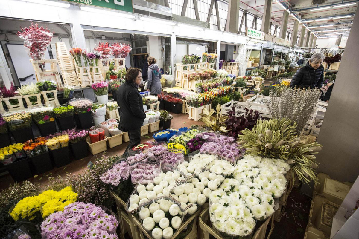 Mercato dei fiori al Centro Carni: al Trionfale scatta il sondaggio 5 Stelle Mercato dei fiori al Centro Carni: al Trionfale scatta il sondaggio 5 Stelle