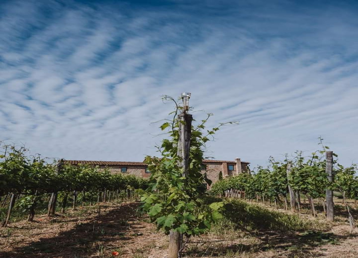 “Cantina Donna Emilia”, a Natale l’iniziativa solidale per l’Ucraina