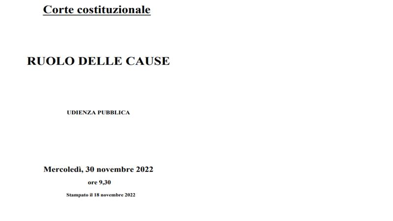 Obbligo vaccini, la Corte decide: previsioni e strategie – Il tg VERO GIORNALE Obbligo vaccini, la Corte decide: previsioni e strategie – Il tg VERO GIORNALE