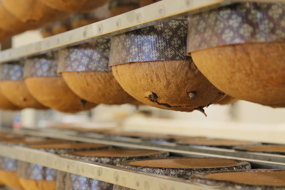 Panettoni per Natale? Cinque proposte made in Sicilia Panettoni per Natale? Cinque proposte made in Sicilia