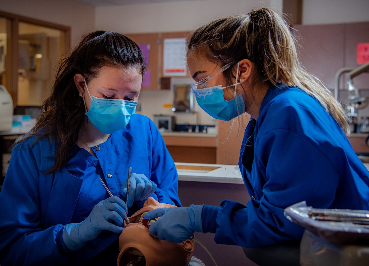Collasso sanità, i pronto soccorso nel caos. E a medicina c’è il numero chiuso Collasso sanità, i pronto soccorso nel caos. E a medicina c’è il numero chiuso