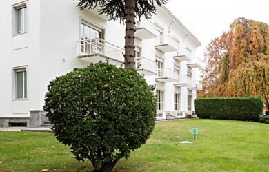 Il ritardo dello sviluppo del linguaggio del bambino