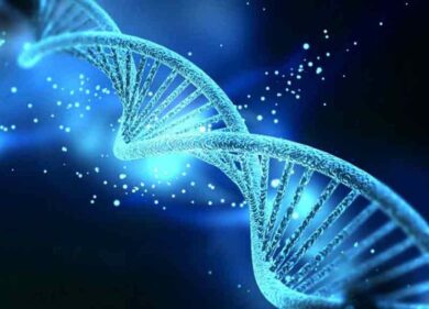 Salute, alla scoperta di microbi del passato di 2600 milioni di anni fa