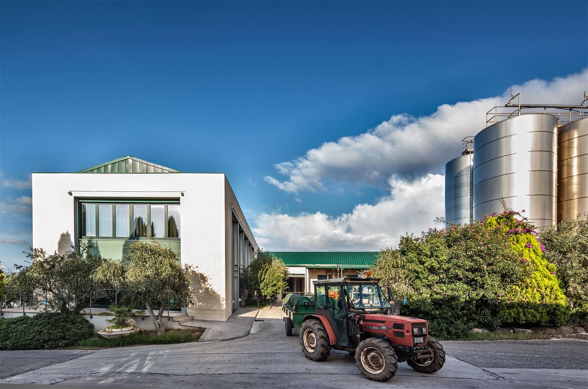 San Giuliano, confermata nella TOP 10 dell’Evoo World Ranking