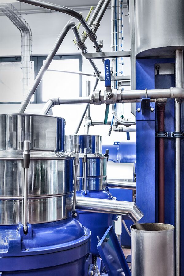 San Giuliano, confermata nella TOP 10 dell’Evoo World Ranking