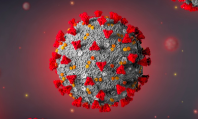 Le Covid-star ora spingono l’herpes zoster