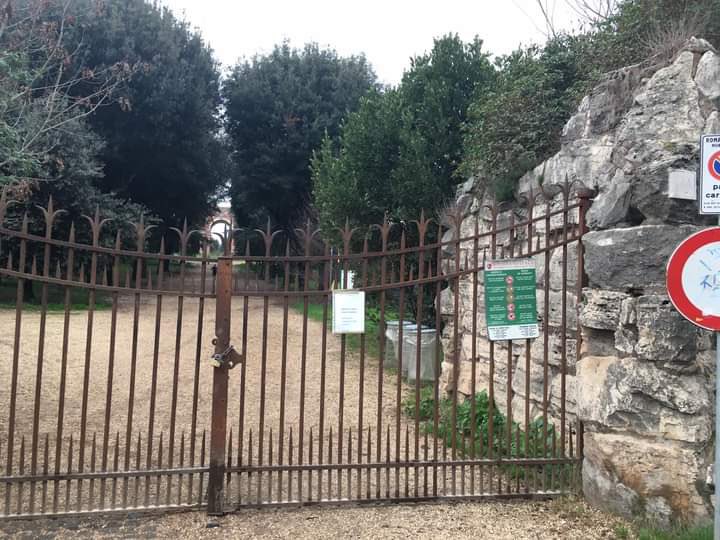 Roma invasa dai cinghiali: chiuso il parco di Villa Pamphili Roma invasa dai cinghiali: chiuso il parco di Villa Pamphili