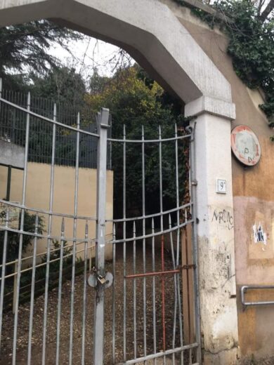 Roma invasa dai cinghiali: chiuso il parco di Villa Pamphili
