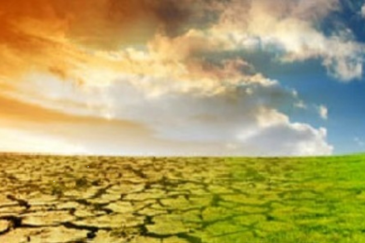 Per i top manager il cambiamento climatico è la questione più urgente Per i top manager il cambiamento climatico è la questione più urgente