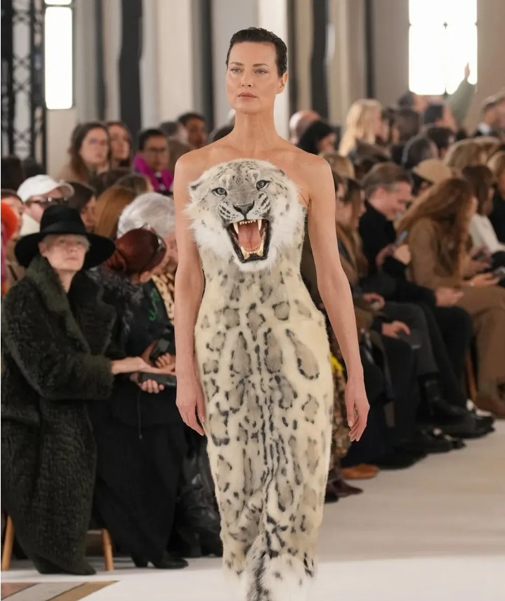 Schiaparelli tra Ferragni e teste di leone: bufera sugli animali in passerella Schiaparelli tra Ferragni e teste di leone: bufera sugli animali in passerella