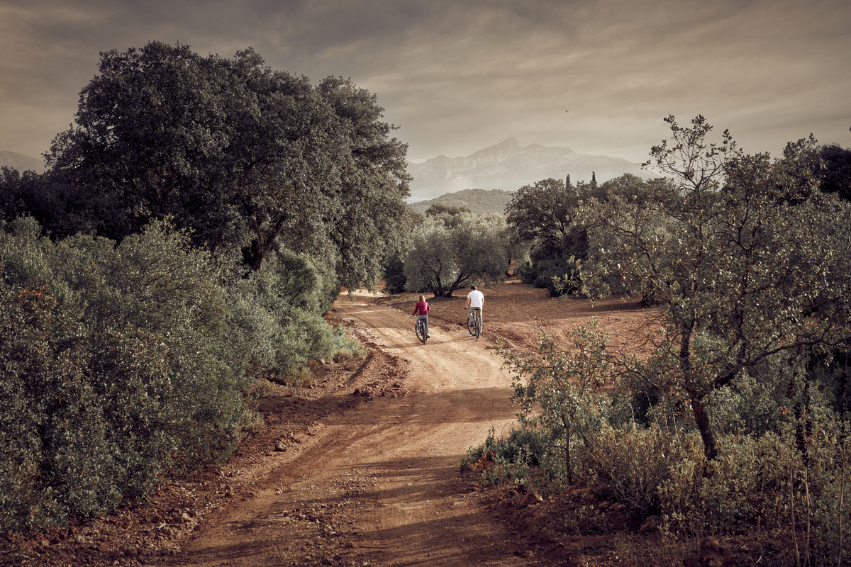 Barceló Hotel Group: rafforzato il management in Italia