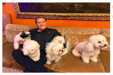 Berlusconi dopo Peter, Chou Chou e Dudu arrivano Drago e Lupo: le foto