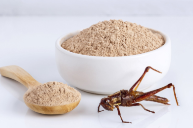 Farina di grillo, dal congelamento alla macina: ecco come viene prodotta