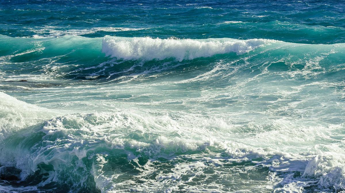 Bcube e Findus presentano “Seascape” Bcube e Findus presentano “Seascape”