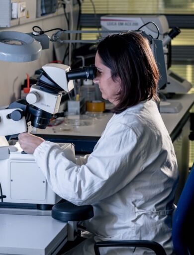 Pirelli rinnova la partnereship con l’ Universita’ di Milano-Bicocca
