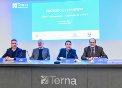Terna: al via accordo con Greenpeace, Legambiente e WWF