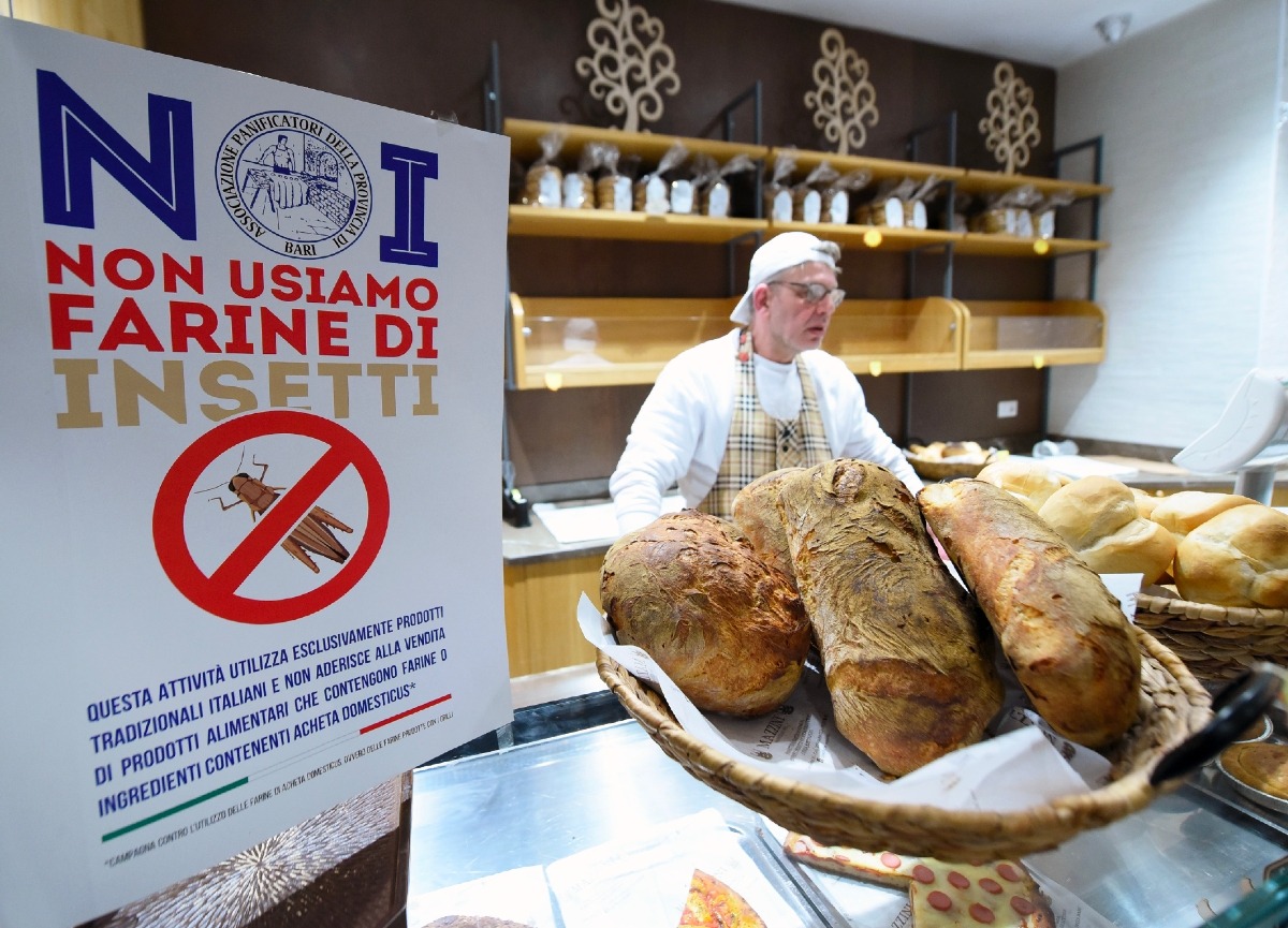 Farine di insetti? Non sicure dal punto di vista nutrizionale. Ecco i rischi Farine di insetti? Non sicure dal punto di vista nutrizionale. Ecco i rischi