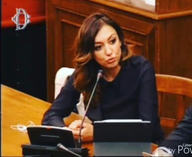 Montaruli lasci perdere la difesa delle Istituzioni: ecco perchè