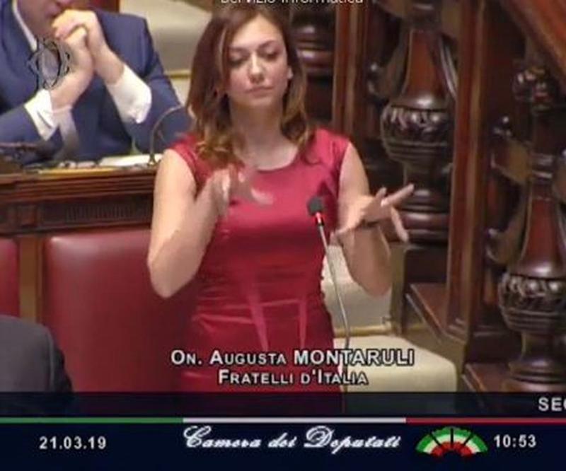 Montaruli lasci perdere la difesa delle Istituzioni: ecco perchè Montaruli lasci perdere la difesa delle Istituzioni: ecco perchè
