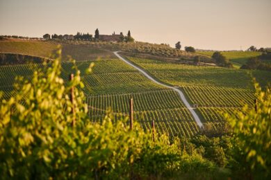 Le migliori cantine vinicole nei dintorni di Firenze