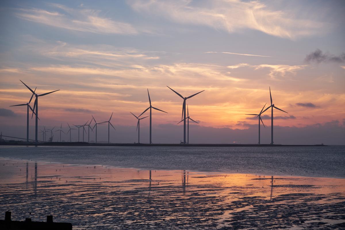 Eolico offshore, la transizione energetica prosegue con il vento in poppa Eolico offshore, la transizione energetica prosegue con il vento in poppa