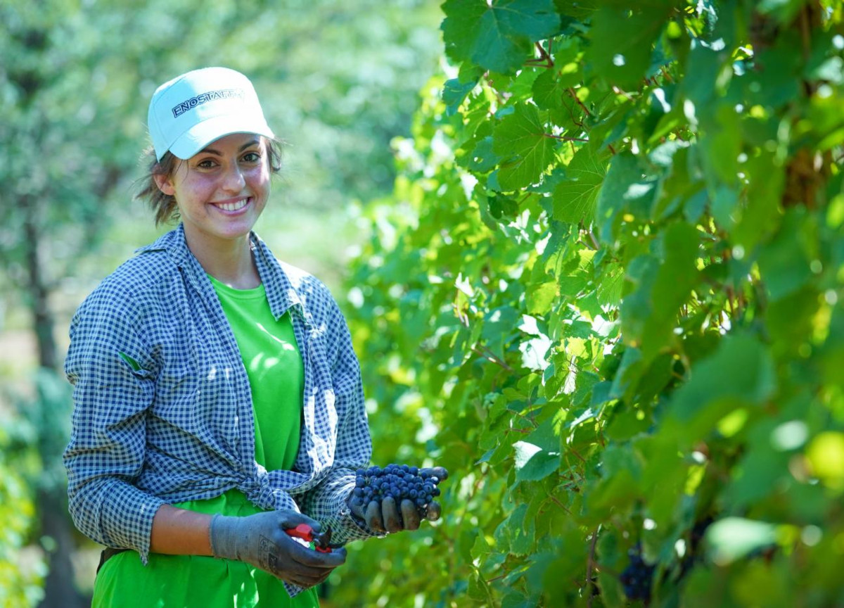 Le aziende agricole non investono nulla sulle rinnovabili. Il 93% non ci punta Le aziende agricole non investono nulla sulle rinnovabili. Il 93% non ci punta