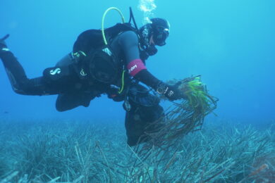 E.ON, conclusa la mostra Ocean&Climate Village a Napoli