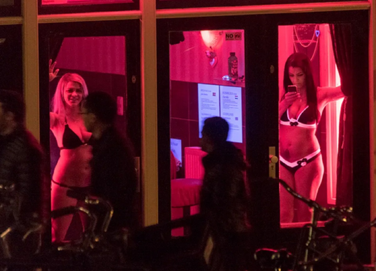 Ema nel quartiere a luci rosse ad Amsterdam, l’appello: Trasferitelo a Milano Ema nel quartiere a luci rosse ad Amsterdam, l’appello: Trasferitelo a Milano