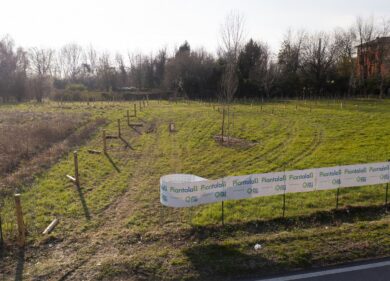 “Piantalalì”, un bosco a Paderno Dugnano