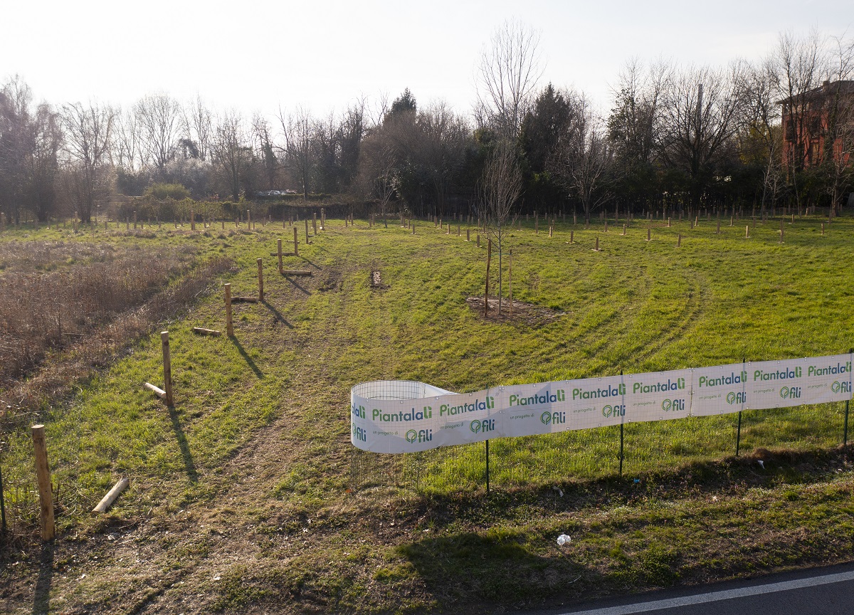 “Piantalalì”, un bosco a Paderno Dugnano “Piantalalì”, un bosco a Paderno Dugnano