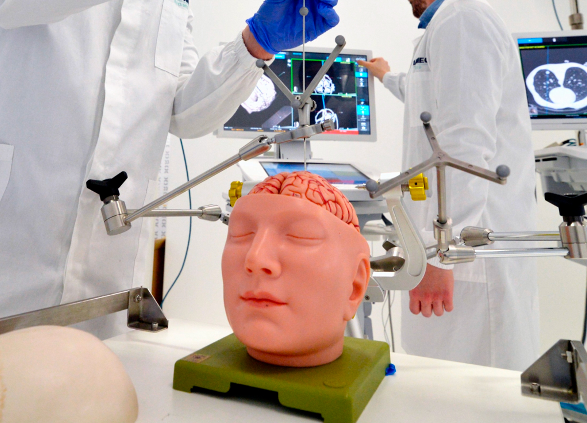 Il cervello, regista della salute per il corpo e la mente Il cervello, regista della salute per il corpo e la mente