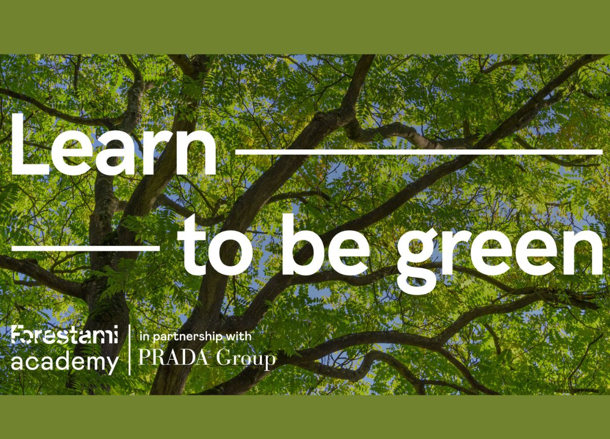 Il Gruppo Prada e Forestami presentano “Forestami Academy” Il Gruppo Prada e Forestami presentano “Forestami Academy”