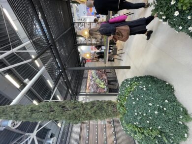 Cosmoprof 2023, Davines festeggia 40 anni di Bellezza Sostenibile