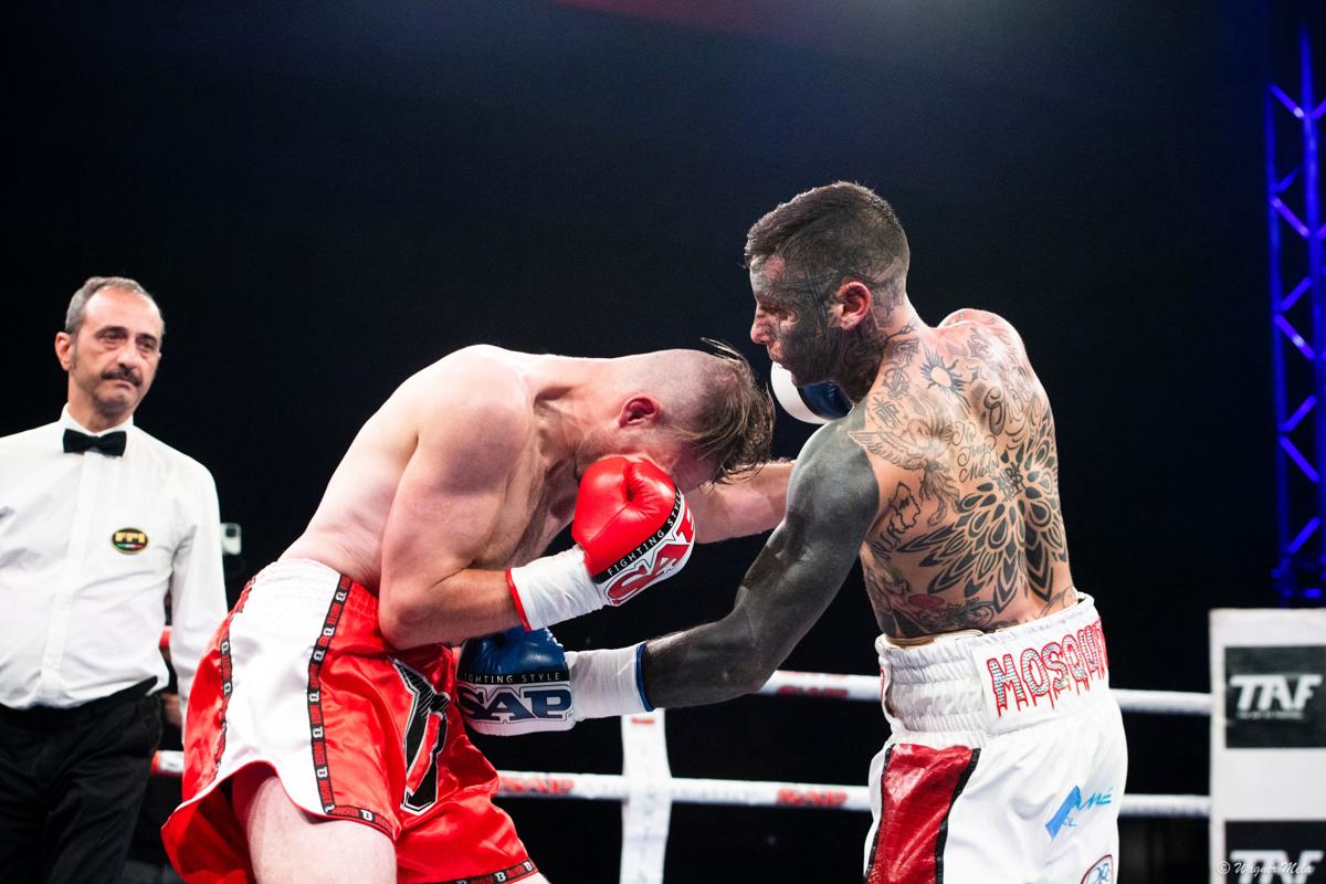 The Art of Fighting, kickboxing-boxe show a Monza con 7 match spettacolari