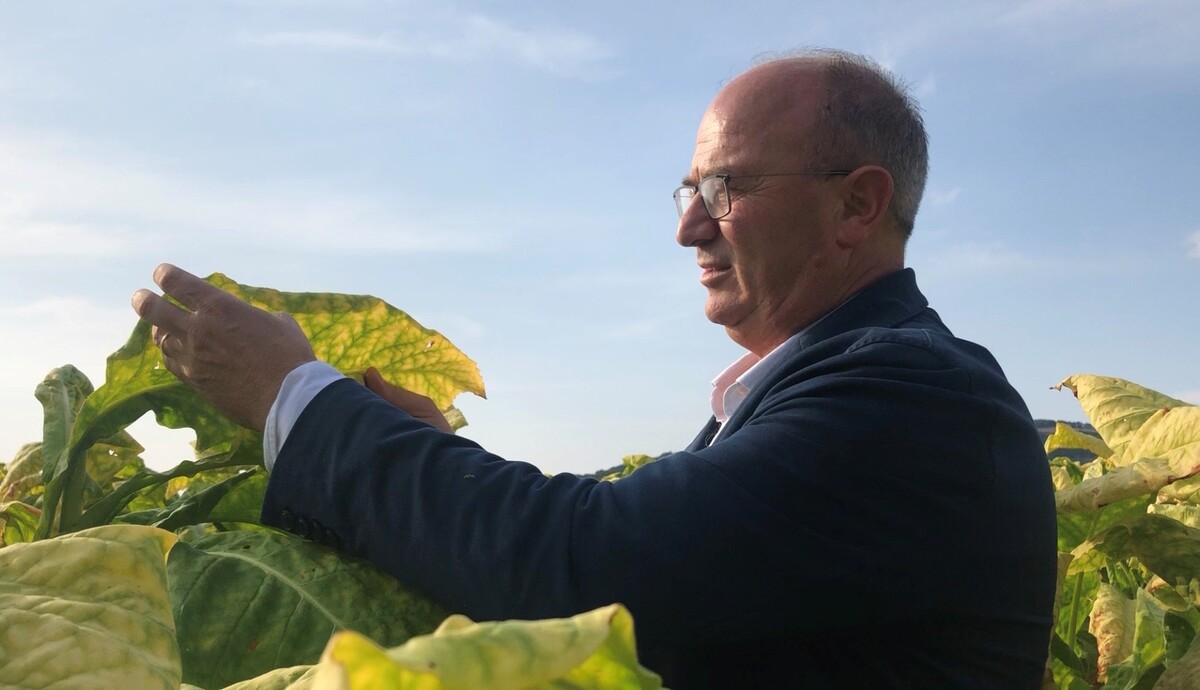 Philip Morris e Masaf a sostegno della filiera tabacchicola italiana