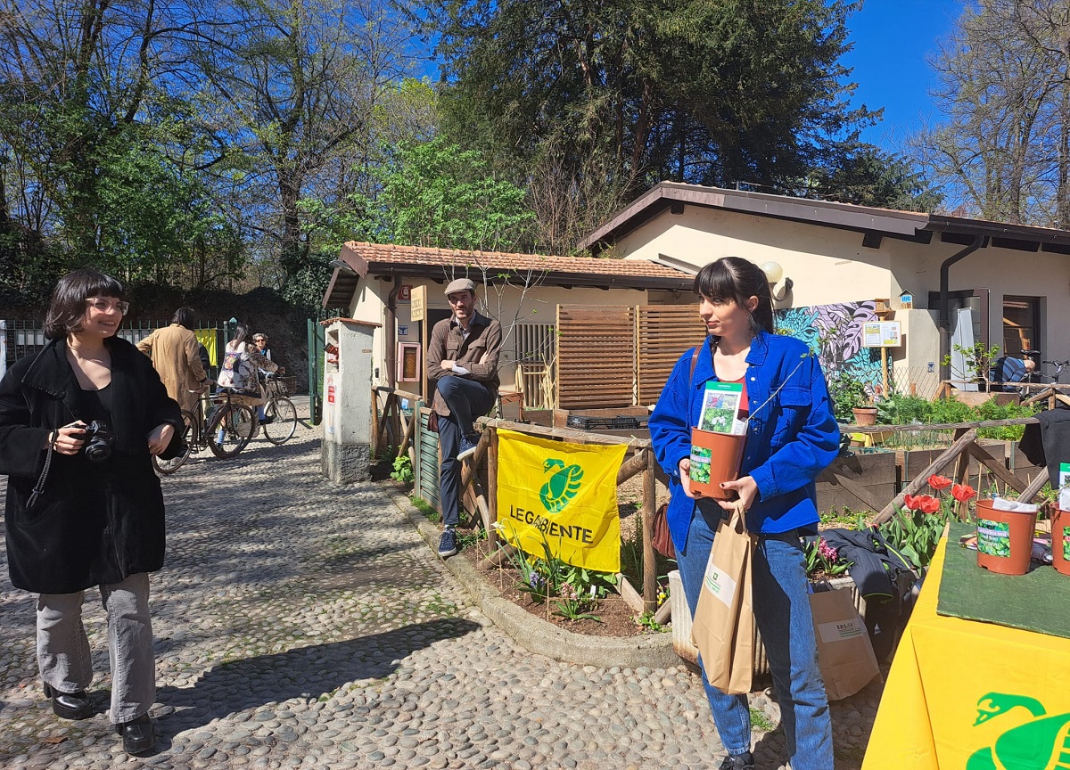 2500 piante per il verde urbano: cittadini in prima linea con “Custodiscimi” 2500 piante per il verde urbano: cittadini in prima linea con “Custodiscimi”