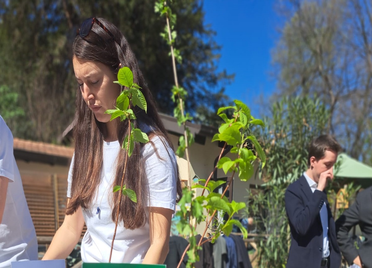 2500 piante per il verde urbano: cittadini in prima linea con “Custodiscimi” 2500 piante per il verde urbano: cittadini in prima linea con “Custodiscimi”