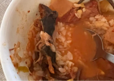 Trovano un topo nella zuppa e documentano tutto, ma il ristorante nega