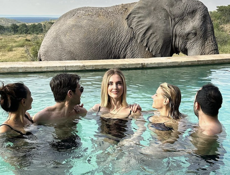 Chiara Ferragni, bagno con gli elefanti in Sud Africa Chiara Ferragni, bagno con gli elefanti in Sud Africa