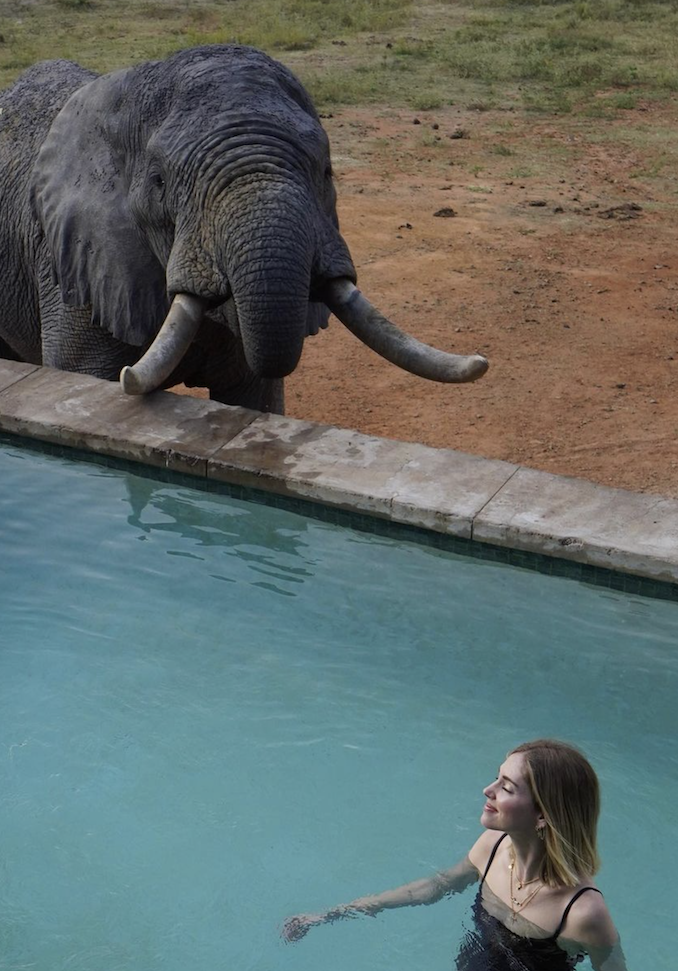 Chiara Ferragni, bagno con gli elefanti in Sud Africa Chiara Ferragni, bagno con gli elefanti in Sud Africa