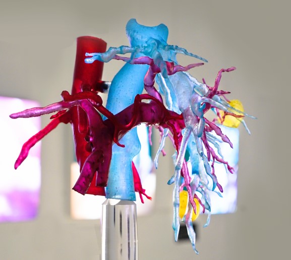 Tailor-made Organs, installazione per il futuro della medicina personalizzata Tailor-made Organs, installazione per il futuro della medicina personalizzata