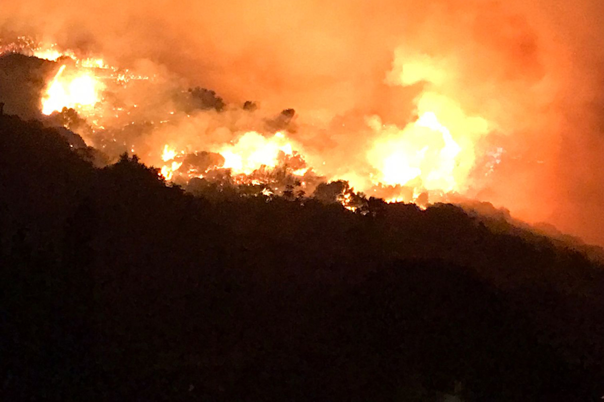Maxi incendio nel Parco delle Groane: impiegate diverse squadre Maxi incendio nel Parco delle Groane: impiegate diverse squadre