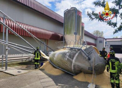 Forlì, tre ragazzi muoiono travolti dal mangime in un allevamento di pulcini