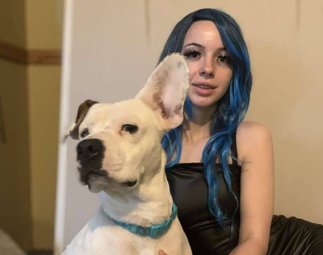 Usa, sesso con un cane davanti a una chiesa: rischia dieci anni di carcere Usa, sesso con un cane davanti a una chiesa: rischia dieci anni di carcere