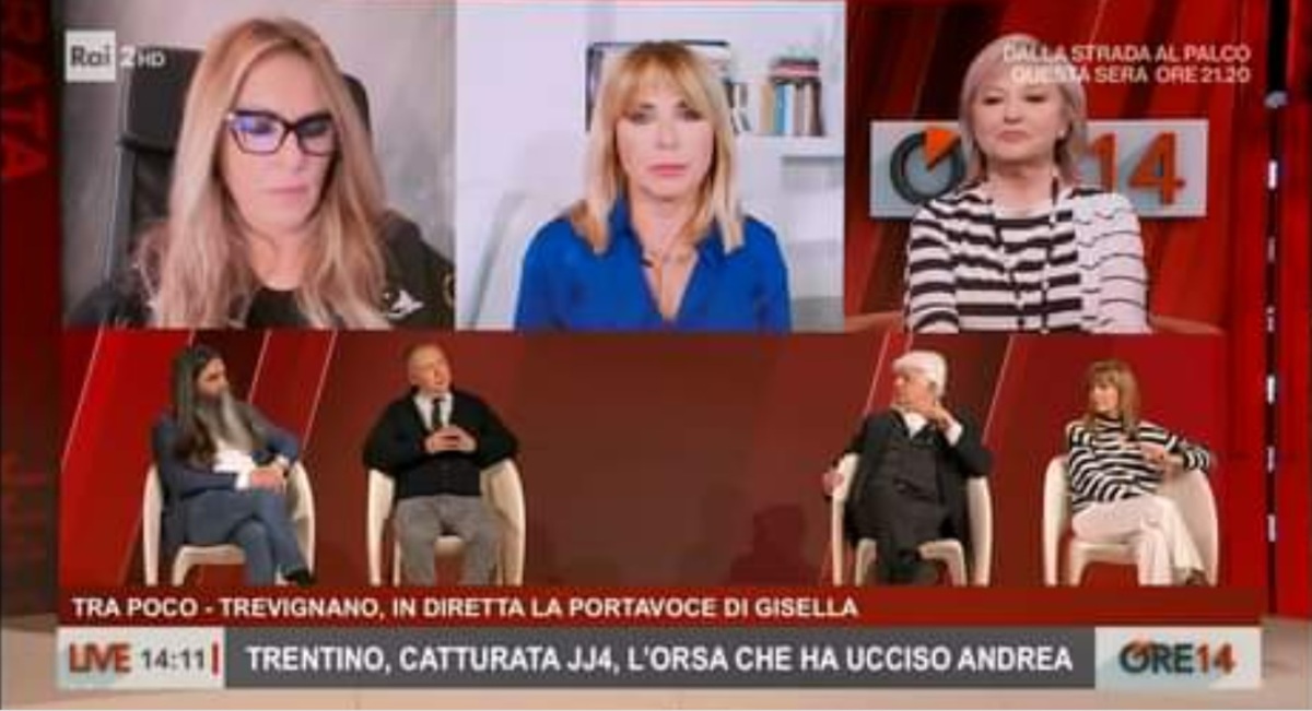 Orsa Jj4, la proposta di Perrino: “Portiamola allo Zoo Safari di Fasano”